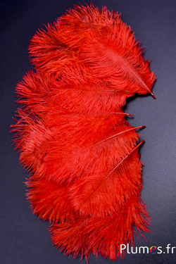 Strauss Bellies - 8-13 cm - blutorange